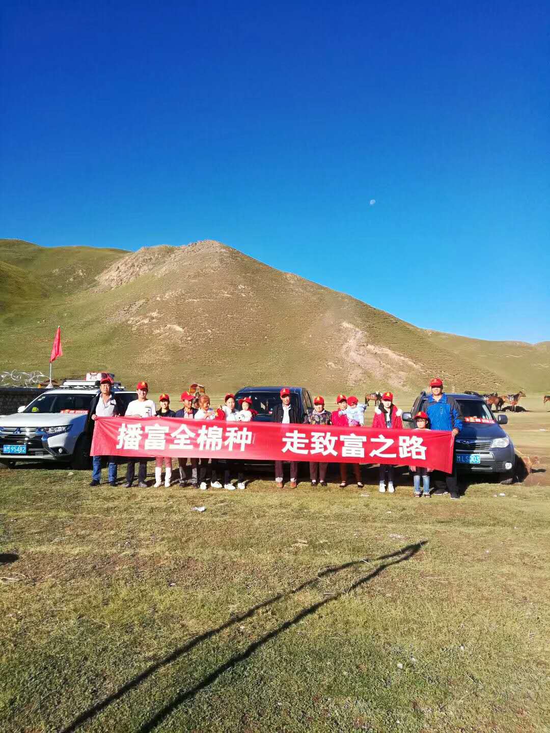 播富全棉種，走致富之路